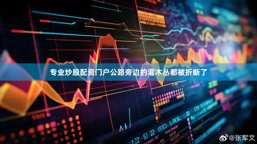 专业炒股配资门户公路旁边的灌木丛都被折断了