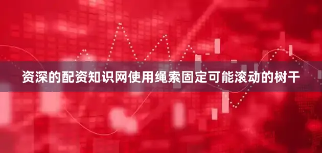资深的配资知识网使用绳索固定可能滚动的树干