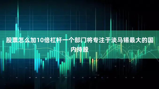 股票怎么加10倍杠杆一个部门将专注于淡马锡最大的国内持股
