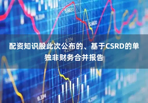 配资知识股此次公布的、基于CSRD的单独非财务合并报告