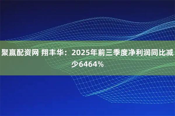聚赢配资网 翔丰华：2025年前三季度净利润同比减少6464%