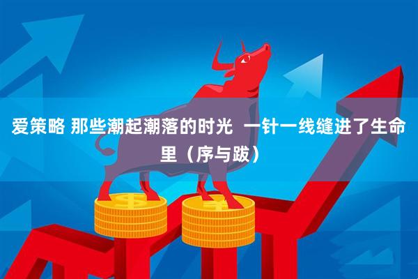 爱策略 那些潮起潮落的时光  一针一线缝进了生命里（序与跋）