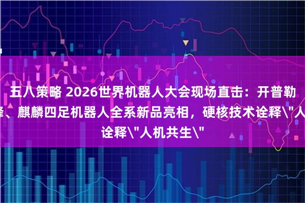 五八策略 2026世界机器人大会现场直击：开普勒K3大黄蜂、麒麟四足机器人全系新品亮相，硬核技术诠释＂人机共生＂
